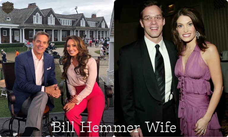 Bill Hemmer Wife